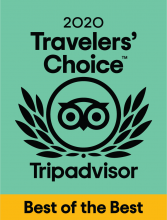 trip advisor's travelers' choice award